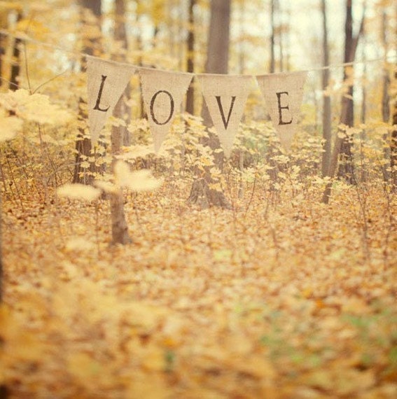 Autumn Photography, Forest, Yellow Leaves, Romantic Landscape Photograph, Rustic, Wedding, Mustard Yellow - All is love