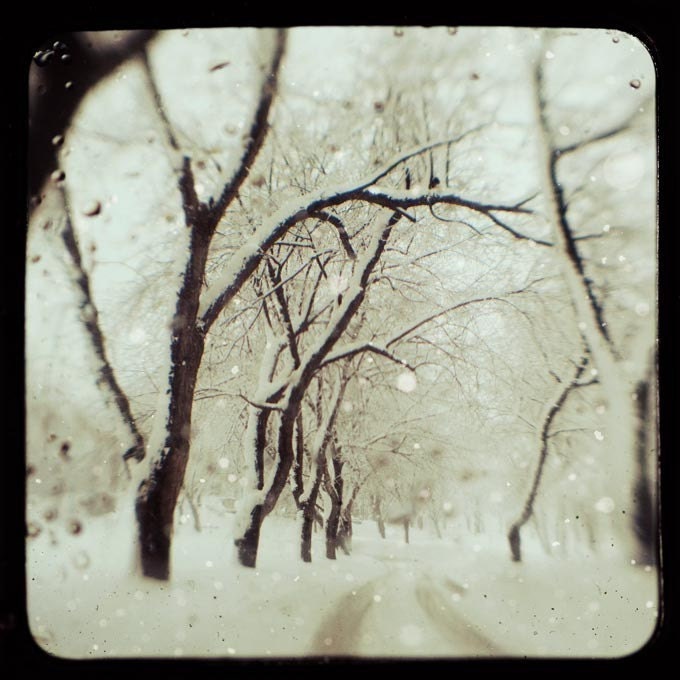Winter Photograph, Snow, Trees, White, Landscape, TTV - Somewhere Along the Way