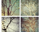 Christmas Lights, Winter Photography, Bare Trees, Blue Green Grey Silver, Four Fine Art Prints  - Night Lights
