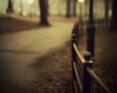Central Park Fence in Fog, New York Photograph, Autumn, Fall, Night, Fine Art Photography, Black and Gold - Open Me Carefully
