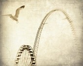 A Different Perspective - 8x10 Fine Art Print