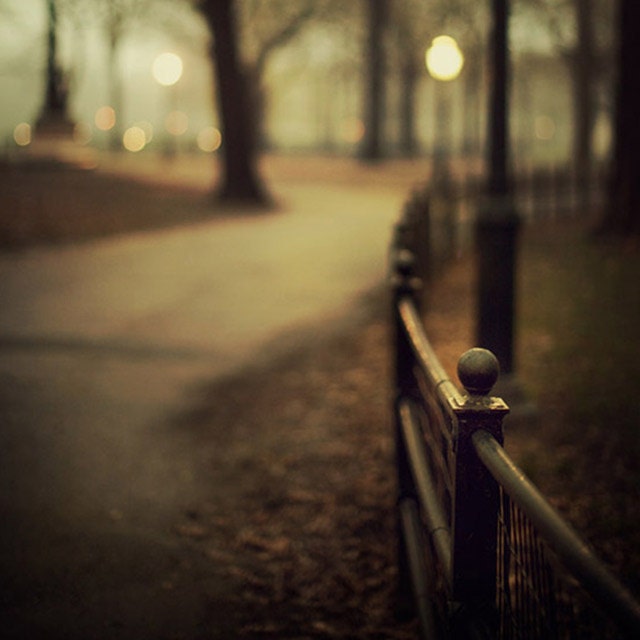 Central Park Fence in Fog, New York Photograph, Autumn, Fall, Night, Fine Art Photography, Black and Gold - Open Me Carefully