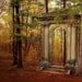 Enter - Doorway to Nowhere, Portal, Autumn Photo, Fall Photography, Forest, Woodland, Trees, Mysterious fine art landscape photograph