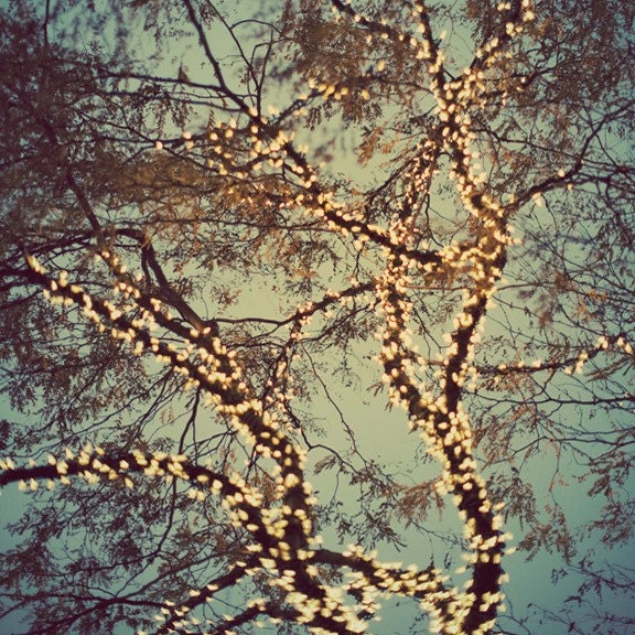 Christmas Lights, Winter Photography, Bare Trees, Blue Green Grey Silver, Four Fine Art Prints  - Night Lights