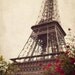 Eiffel Tower photograph, Romantic, Travel, France, Europe, Spring - The Iron Lady with Flowers - Paris, France