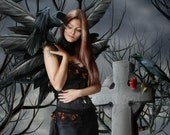 Serenity - Print