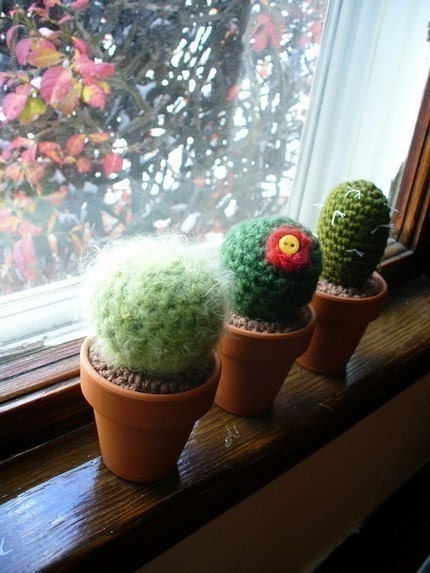 Crochet Cacti set of four