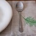 napkin, fern