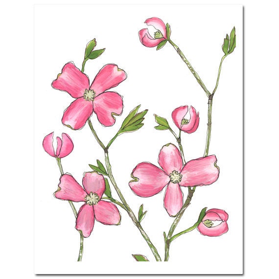 Dogwood in Fuchsia--8"X10" Fine Art Print