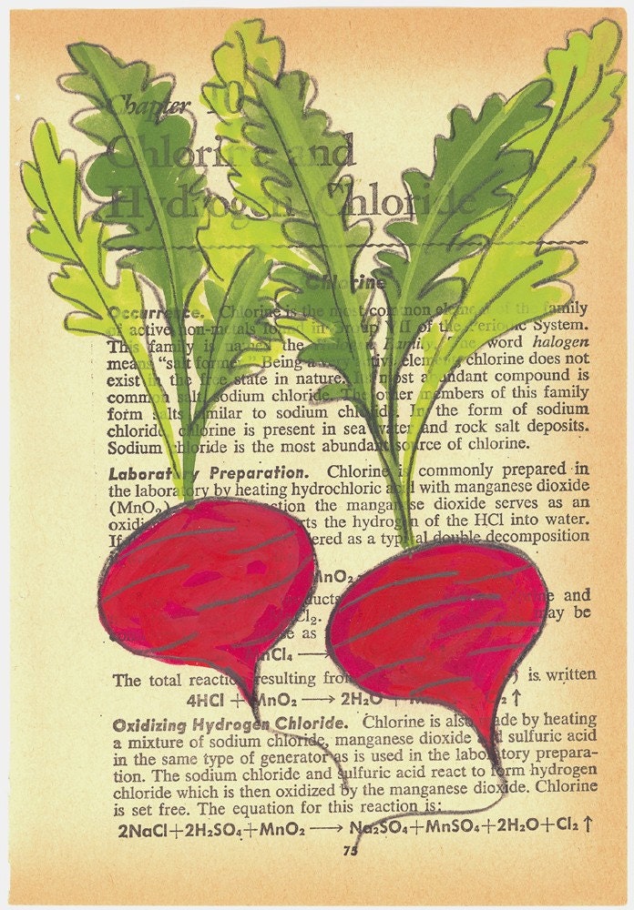 Know Your Roots II (Beets) - Original Painting on Antique Book Paper