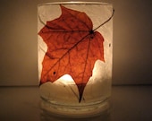 Real Autumn Maple Leaf Earth Light - paperplanet