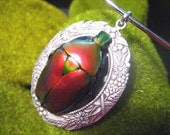 Red Flower Beetle on Silver Pendant Necklace