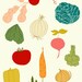 kitchen print, kitchen poster, chef, food, drawing, kitchen wall art, mid century, cute illustration, vegetables - BON APPETIT
