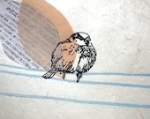 sparrow - original print - LIMITED EDITION