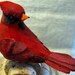 Cardinal Birdhouse with a Corky Roof