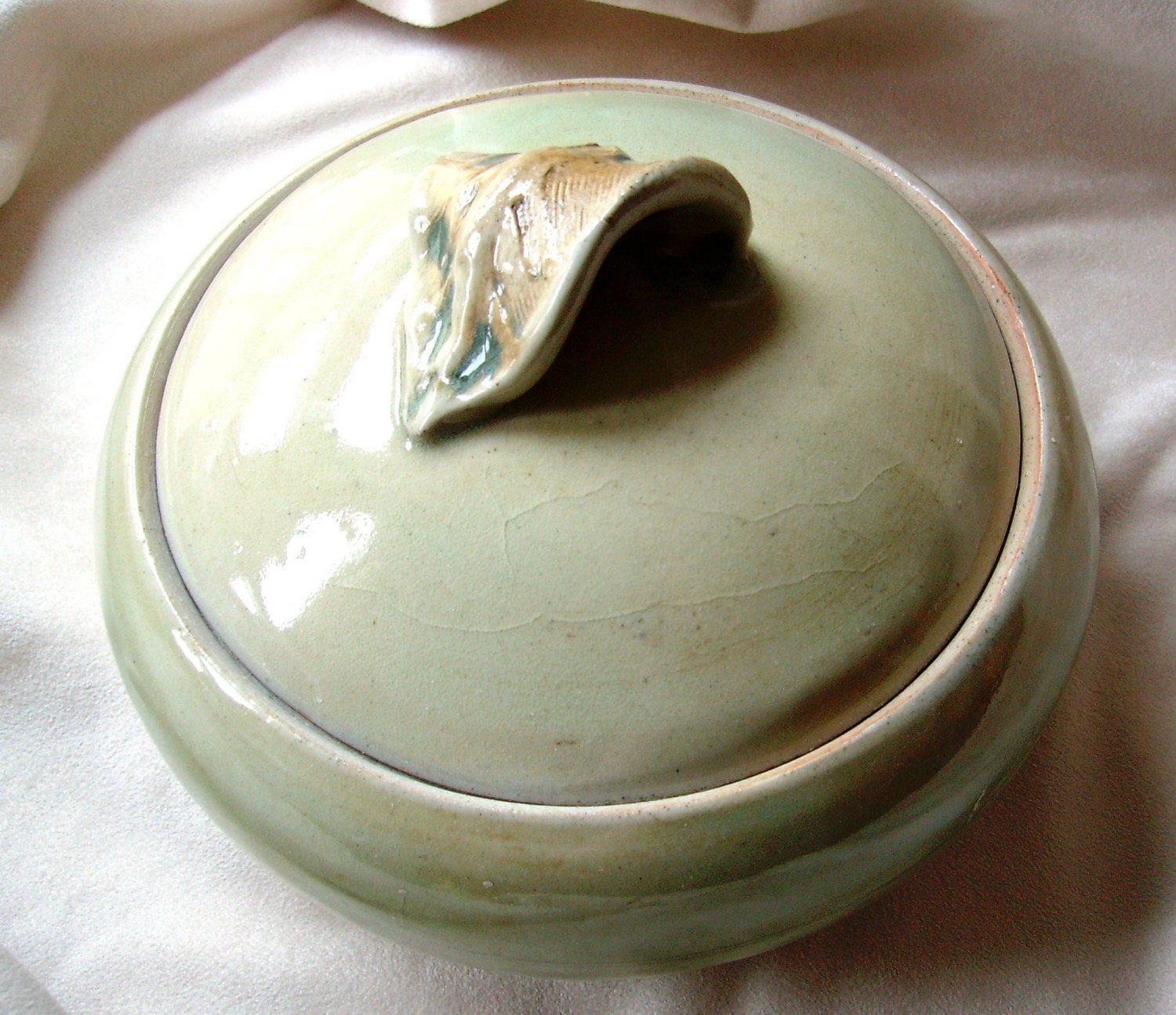 Apple Green Covered Casserole