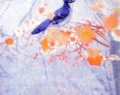Blue Jay Blossoms Giclee - Asian Fine Art Print