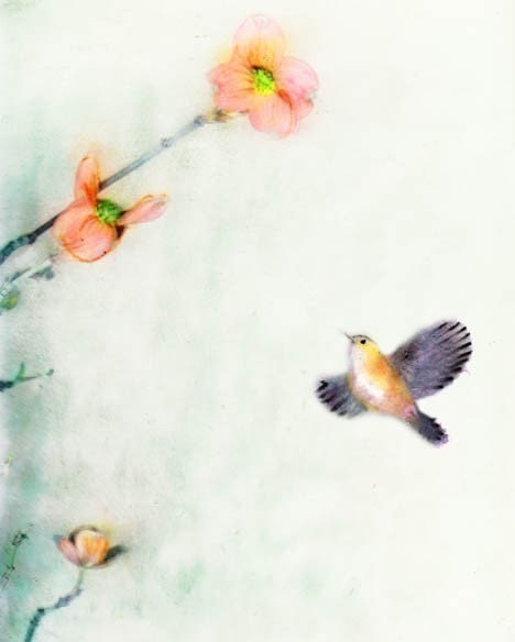 Dogwood Print - Giclee Art - Pretty Prints, Bird Painting