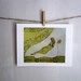 Pale Morning,  Archival Reproduction Print 8.5 x 11