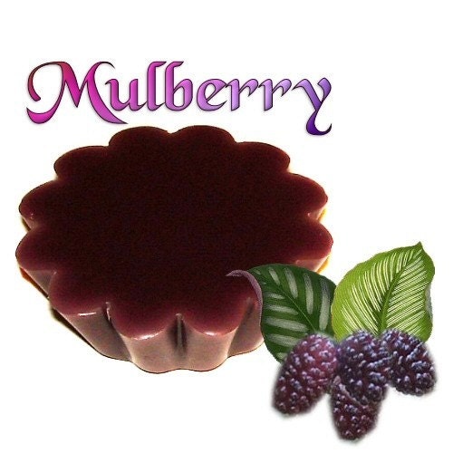 4 Mulberry Tarts Potpourri Candle Melts Rich Fruit Berry Scent