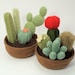 Cactus Collections, eight realistic PDF CROCHET PATTERNS