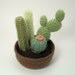 Cactus Collections, eight realistic PDF CROCHET PATTERNS