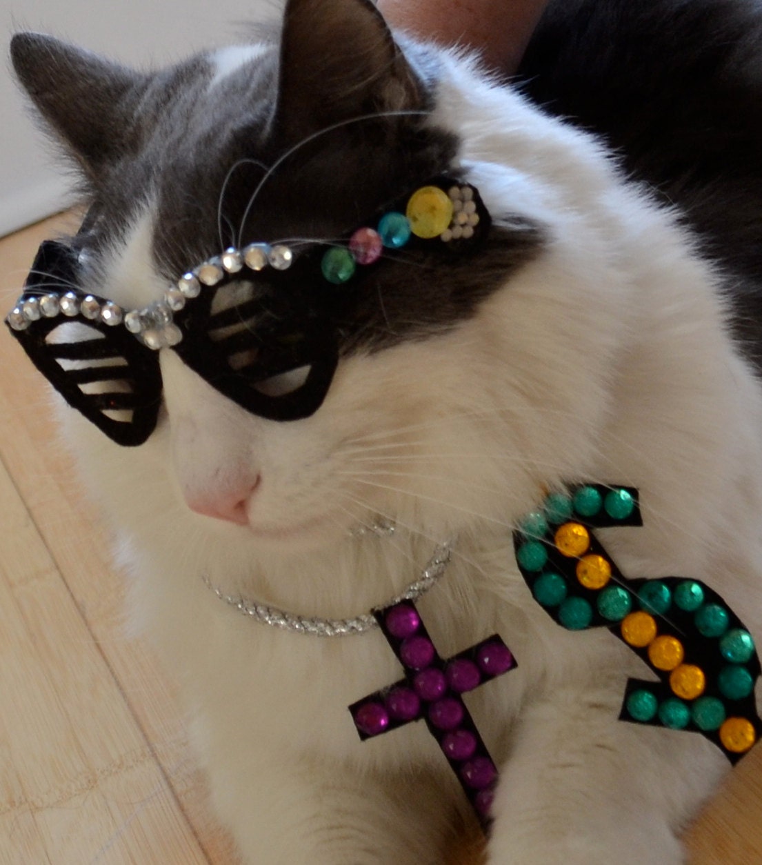 Kanye West/ Kitty West Cat Costume/Black Shutter Shades