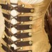 Waist 33 to 35 Gold Steampunk Vixen