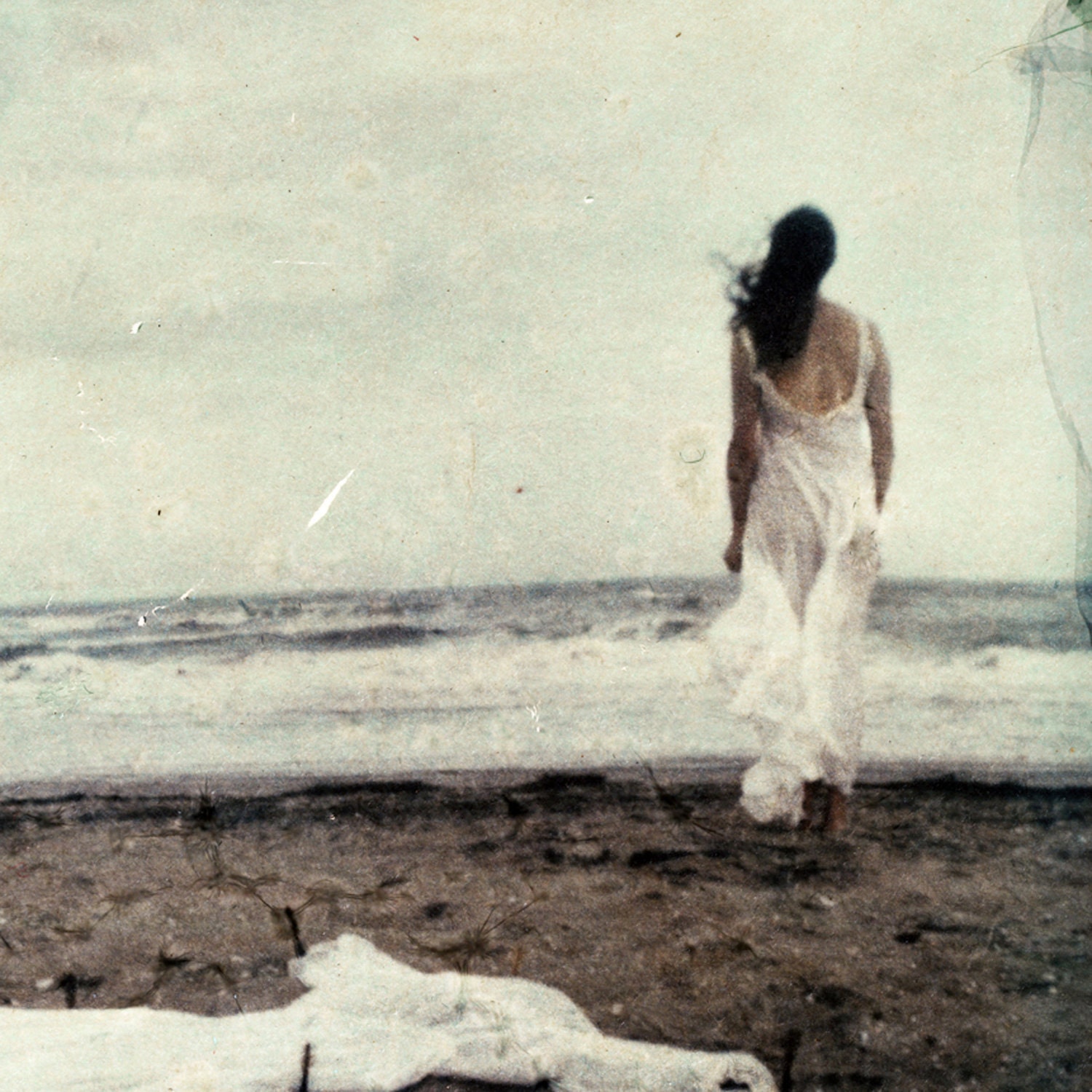 Photograph: Incunabula, 2011.