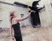 Photograph: The Fall and The Gathering of The Leaves I, 2006