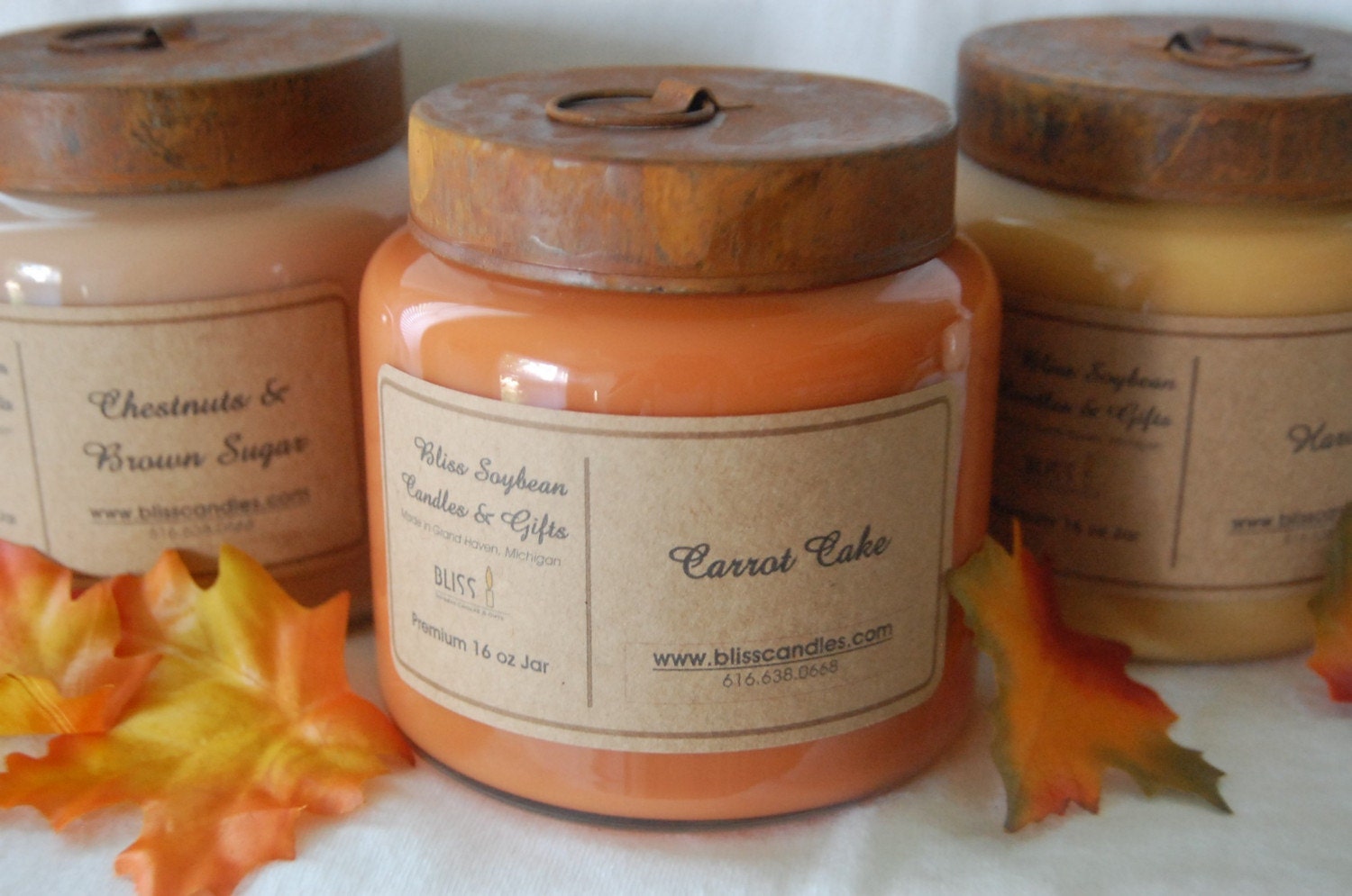 TWO  - Bliss Premium Soy 16 oz Jar Candles with Primitive Rustic Lids - 34 DOLLARS YOU CHOOSE