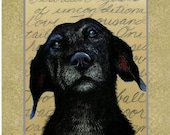Set Of Four Old Dog Greeting Card Art by Melody Lea Lamb 100% to Charity
