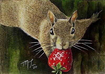 Woodland Squirrel Art Melody Lea Lamb ACEO Print