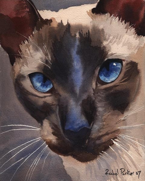 Siamese cat Seal Chocolate Point art Print of my watercolor painting .Prince Charming.
