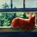 Online watercolor lessons - beginner tutorial - Learn to paint your pet tips ideas my secrets