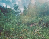 reverie.  8x10 multiple exposure color photograph, surreal photography, nature photography, fine art print,  wildflower field, purple
