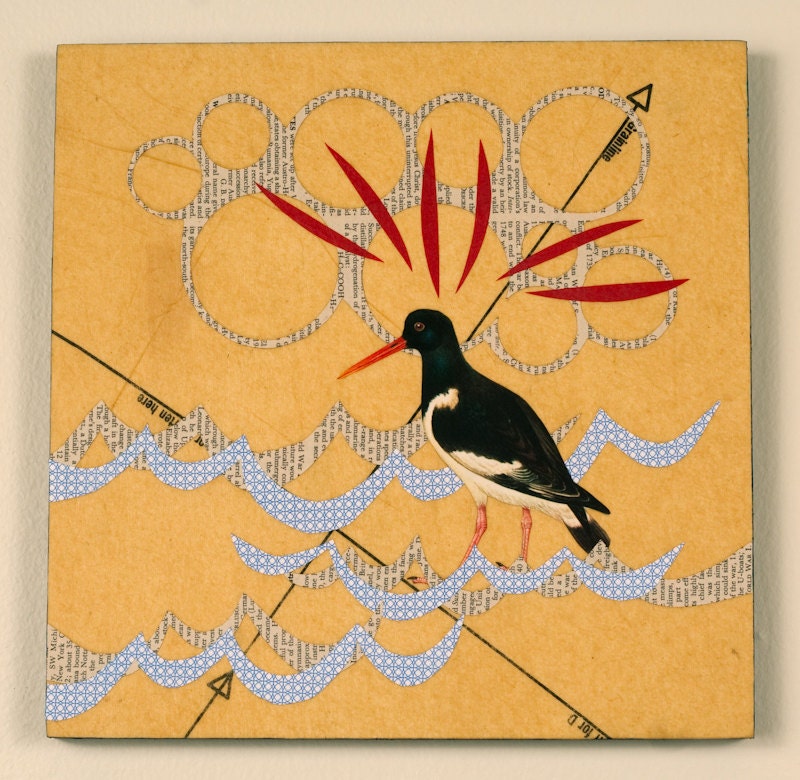 Abstract Mixed Media Collage with a Black Oyster Catcher