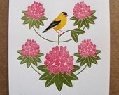 washington (from birds and blooms of the 50 states)