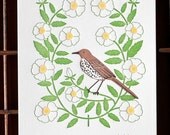 georgia (from birds and blooms of the 50 states)