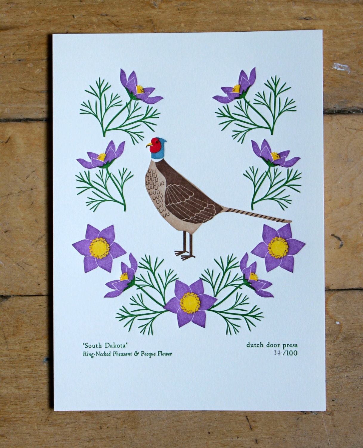 south dakota (from birds and blooms of the 50 states)
