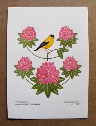 washington (from birds and blooms of the 50 states)