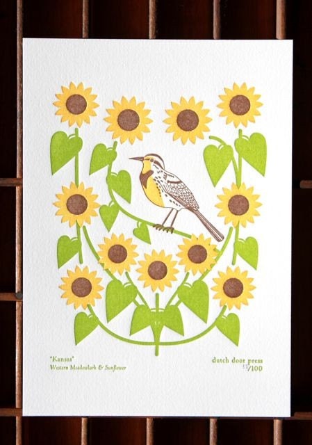 kansas (from birds and blooms of the 50 states)