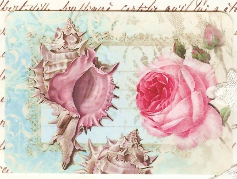 Gift Tags -  Rose  -  Seashell -  Sea Shell -  Aqua by Bluebird Lane