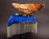 Royal Hen