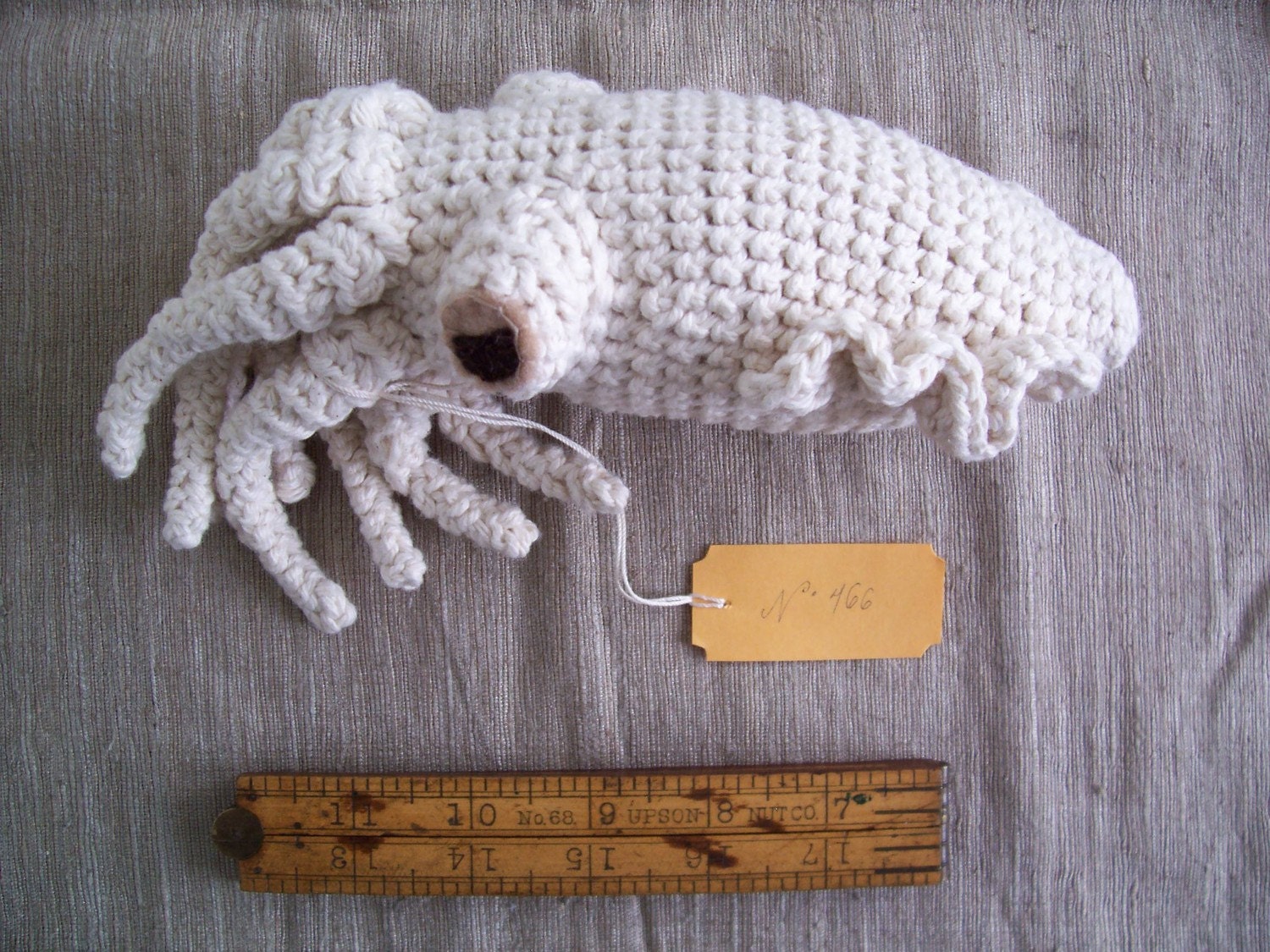 Crocheted cuttlefish 4