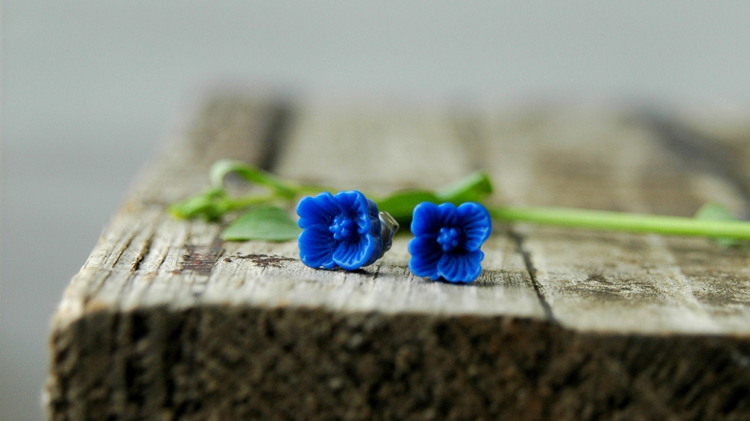 Royal Blue Buttercup . flower post earrings