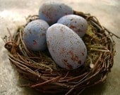 Carolina Wren Egg Bead