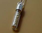 Quinoa  A Food for Thought Amulet in glass, aluminum and sterling