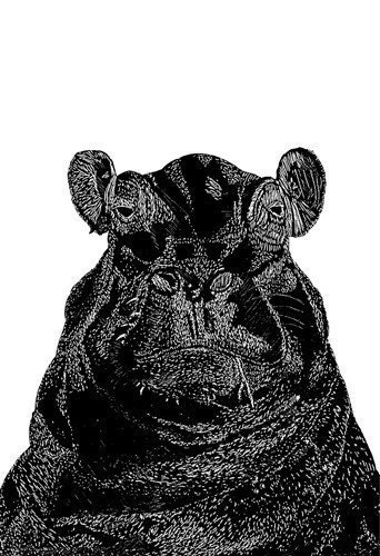 Portrait of a Hippo (large) Limited Edition Print