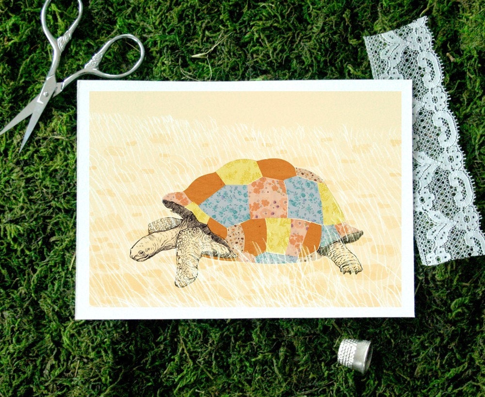 Slow and Steady 5x7 print